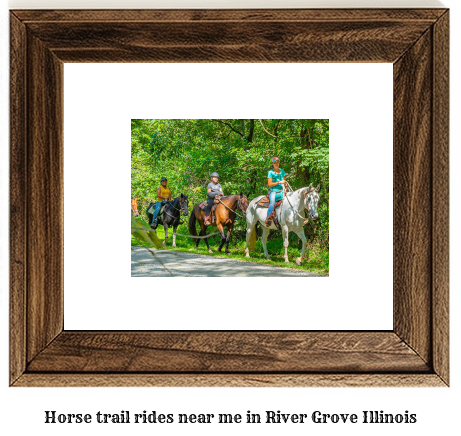 horse trail rides near me in River Grove, Illinois